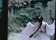 The Enchantment of a Pink Hanfu Adult Woman
