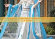 The Charm of Cheongsam-Inspired Half-Sleeve Blouses