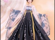 The Integration of Wigs and Traditional Hanfu Costumes:A Modern Perspective on Traditional Beauty