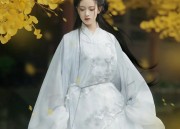 Ancient Beauty in Modern Times:The Rise of Hanfu Hair Accessories for Women with Long Hair