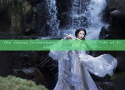 The Joyous Grandmothers Ma Mian Skirt:A Tale of Traditional Elegance