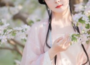 The Splendor of Ming Dynasty Hanfu Hair Accessories