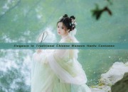 Elegance in Traditional Chinese Womens Hanfu Costumes