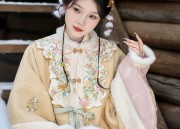 Mini-Sized Short Cheongsam Skirt:Embracing the Elegance of Traditional Chinese Fashion