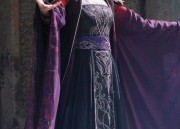 The军阀太太s Cheongsam:A Blend of Chinese Tradition and Elegance