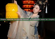 Elegant Love:The Enchanting Journey of Traditional Hanfu for Couples