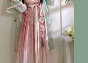 The Evolution of Hanfu Fashion:The Introduction of the Aircraft-Inspired Sleeve in Hanfu Shirts
