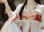 The Exclusive Bag for Cheongsam:A Fashion Accessory in Depth