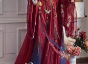 The Splendid Half-Body of Hanfu Robe and Skirt:A Journey into Traditional Chinese Beauty