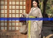 The Splendor of Tang Dynastys Plus-Size Hanfu Fashion