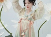 The Revival of Traditional Chinese Hanfu Costumes:A Cultural Journey