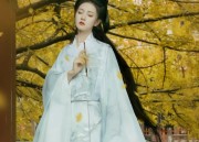 Winter Childrens Traditional Hanfu Costumes for Girls:A Guide to Stylish and Warm Options