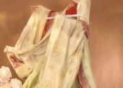 Adult Womens Summer Hanfu Fashion:A Guide to Traditional Chinese Elegance
