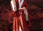 Embracing Traditional Elegance:The Rise of Modern Chinese Tang-Style Clothing with Standing Collars