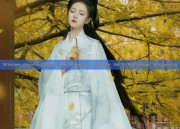 Winter Hanfu Coats for Women:A Guide to Traditional Elegance
