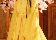 The Enchantment of Hanfu Traditional Chinese Costumes and Ancient Style