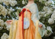 Winter-Style Thickened Long Cheongsam:A Blend of Tradition and Modern Comfort