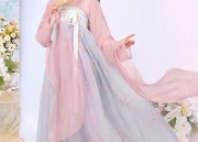 The Splendor of Hanfu in the Age of Jinhuicui:A Journey into Traditional Chinese Clothing