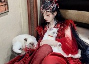 Reinventing Hanfu Style:The Evolution of Traditional Chinese Dress into Modern Princess-Style Dress