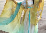 Petal-Skirted Cheongsam:The Authentic Story of Bian Flower in Traditional Chinese Clothing