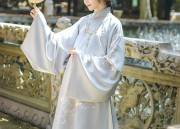 Exploring the Elegance of Song Dynasty Hanfu Clothing:The Aircraft Sleeve Blouse