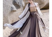 The Ming Dynastys Round-necked Robe and Horse-faced Skirt:A Cultural Exploration