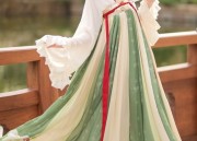 Initial Encounter with the Qiyi Original Hanfu Clothing Store
