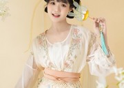 The Evolution of Hanfu:From the Wei-Jin Style to the Song Dynasty