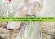 The Perfect Harmony of Hanfu and Mesh Shoes:A Fashionable Exploration