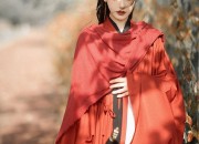 Winter Girls Thickened Hanfu Traditional Chinese Dress