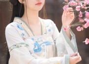 Hanfu Style Diagonal Cross-Body Bags:A Fusion of Traditional Elegance and Modern Aesthetics