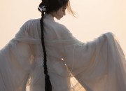 Traditional Tang-Style Womens Hanfu for Adults:A Blend of Ancient Elegance and Modern Charm