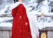 Embracing Tradition:The New Wave of Womens Qipao Cheongsam Dress