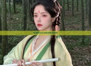 高端胖mm大码汉服改良式