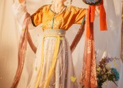 Chinese Cheongsam Skirt and the Revival of Traditional Elegance