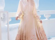 Embracing Traditional Charm:The Evolution of Qipao towards a Modern Flag-Bearing Success