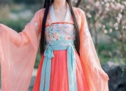 Blue Chinese-Style New-Age Cheongsam Dress:Embracing Traditional Elegance with Modern Touch