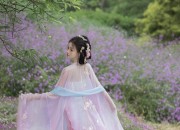 Cheongsam and Skirt Short Set:A Fashionable Two-Piece Ensemble