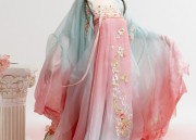 Adult Community of Hanfu:Embracing Traditional Chinese Fashion