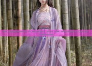 The Embellishment of Horseface Skirt with Waistband:A Cultural Exploration
