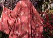 The Revival of Skirt Linings and Hanfu:A Blend of Tradition and Modernity