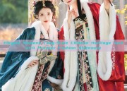 Elegant Womens Tang-Style Chinese Heritage Jacket:A Premier Fashion Statement