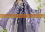 The Enchantment of Childrens Traditional Costume Gowns