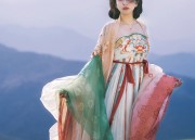The Fabric of Hanfu Silk Skirts:A Journey into the World of Traditional Chinese Textiles