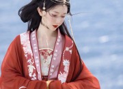 Winter-Style Cheongsam with Long Sleeves:A Traditional Elegance for Cold Seasons