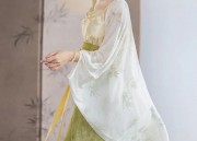 Winter Outerwear:The Splendor of Hanfu Robes in Traditional Chinese Culture