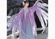 The Twelve Flower Deities:The Plum Blossom and Hanfu Fashion