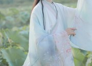 Affordable Hanfu:The Rise of Sub-dollar Costumes in Modern Fashion