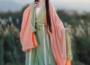 Traditional Two-Piece Horseface Skirt Set:A Blend of Ancient Elegance and Modern Charm
