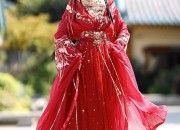 Winter Hanfu Dress:Embracing the Traditional Beauty in Cold Weather
